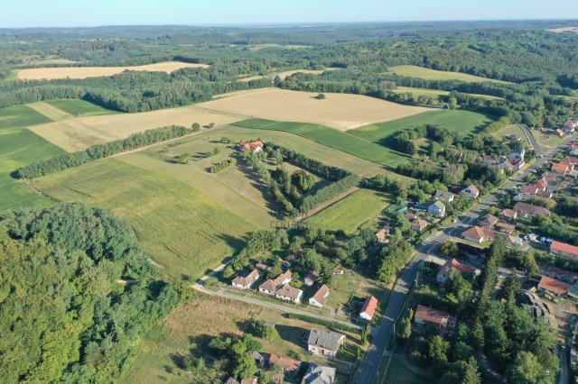 Eladó családi ház, Borsfán 115 M Ft, 12 szobás
