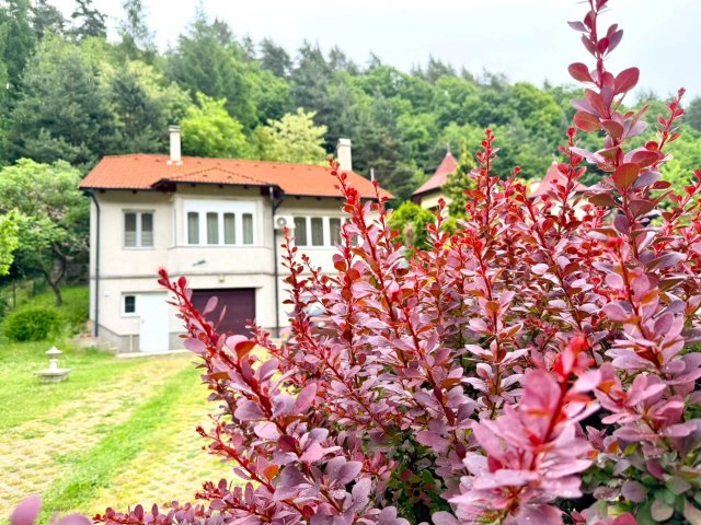 Eladó családi ház, Miskolcon 74.9 M Ft, 2 szobás