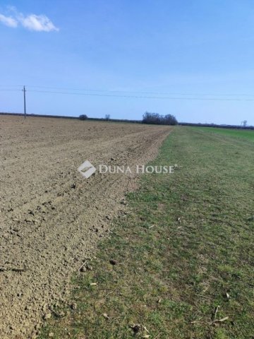 Eladó telek, Cigándon 3.1 M Ft / költözzbe.hu