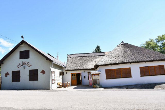 Eladó családi ház, Balatonalmádiban 245 M Ft, 11+1 szobás