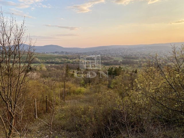 Eladó telek, Budapesten, II. kerületben 55 M Ft