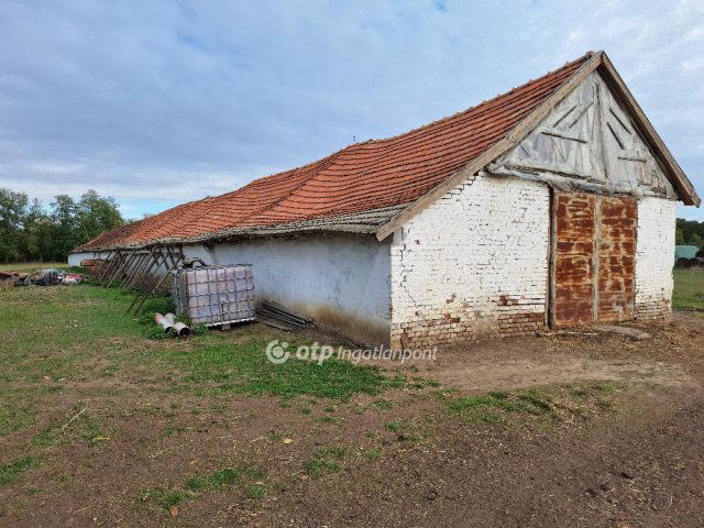 Eladó mezogazdasagi ingatlan, Kunmadarason 29.99 M Ft