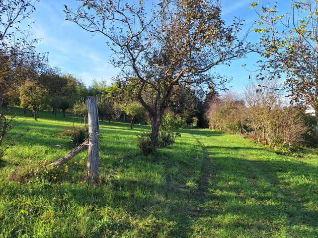 Eladó mezogazdasagi ingatlan, Karmacson 2.5 M Ft