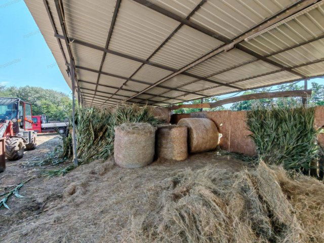 Eladó mezogazdasagi ingatlan, Nyíregyházán 179.999 M Ft