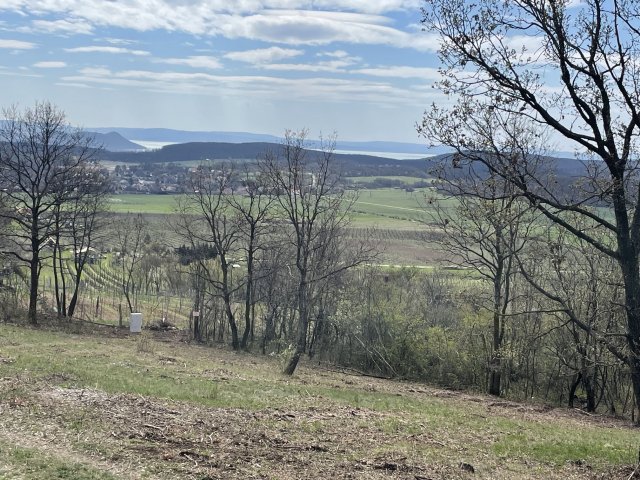 Eladó telek, Balatonszőlősön 85 M Ft / költözzbe.hu