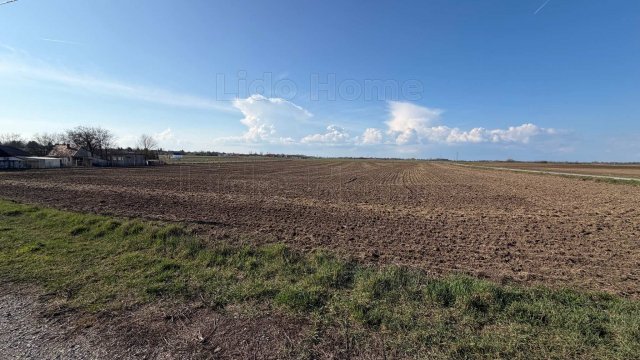 Eladó telek, Balatonszabadiban 25 M Ft / költözzbe.hu