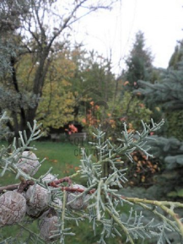 Eladó telek, Budajenőn 65 M Ft / költözzbe.hu