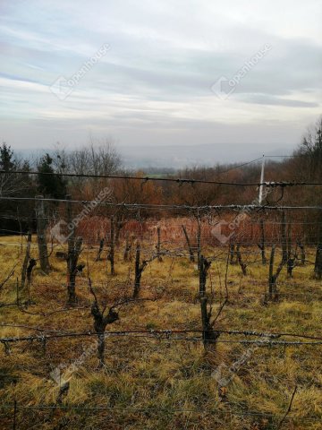 Eladó telek, Nagykapornakon 1.95 M Ft / költözzbe.hu