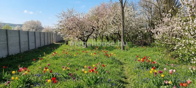 Eladó telek, Érden 59.9 M Ft / költözzbe.hu