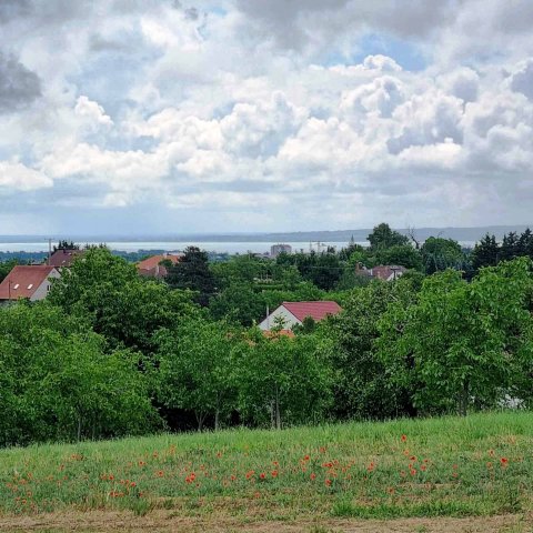 Eladó telek, Keszthelyen 32 M Ft / költözzbe.hu