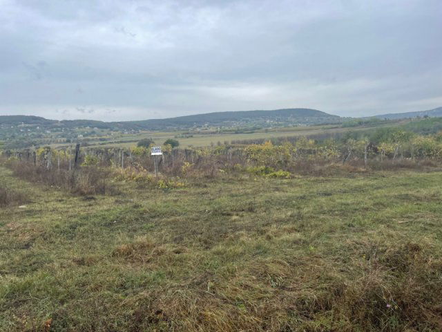 Eladó mezogazdasagi ingatlan, Zánkán 24.951 M Ft