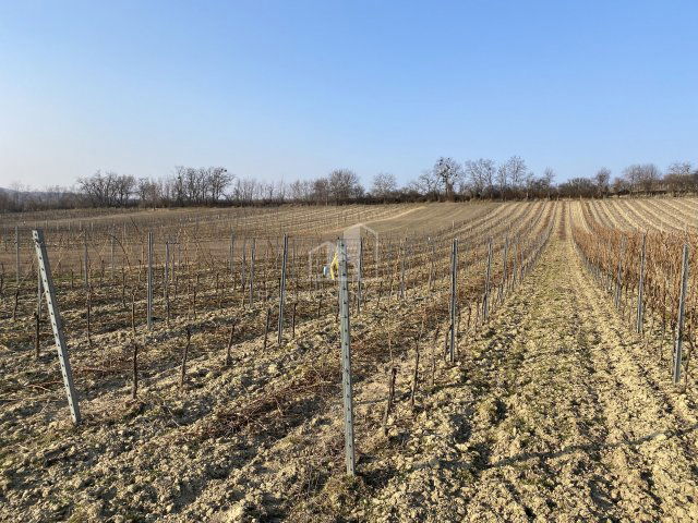 Eladó telek, Szentjakabfán 5.99 M Ft / költözzbe.hu