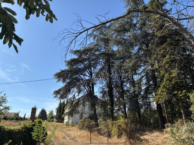 Eladó mezogazdasagi ingatlan, Liptódon 169.9 M Ft
