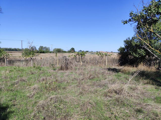 Eladó mezogazdasagi ingatlan, Városföldön 12 M Ft