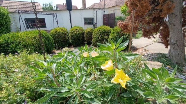 Eladó családi ház, Bólyban 51.9 M Ft, 6 szobás