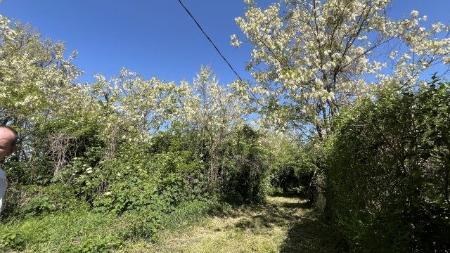 Eladó telek, Balatonberényben 15 M Ft / költözzbe.hu