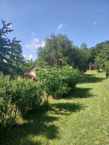 Eladó családi ház, Felsőörsön 66.9 M Ft, 12 szobás