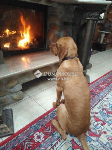 Eladó családi ház, Ceglédbercelen 462 M Ft, 11 szobás