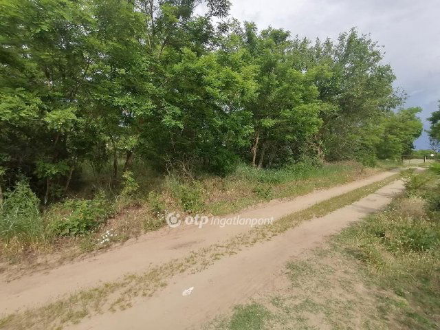 Eladó telek, Hajdúsámsonon 3.9 M Ft / költözzbe.hu