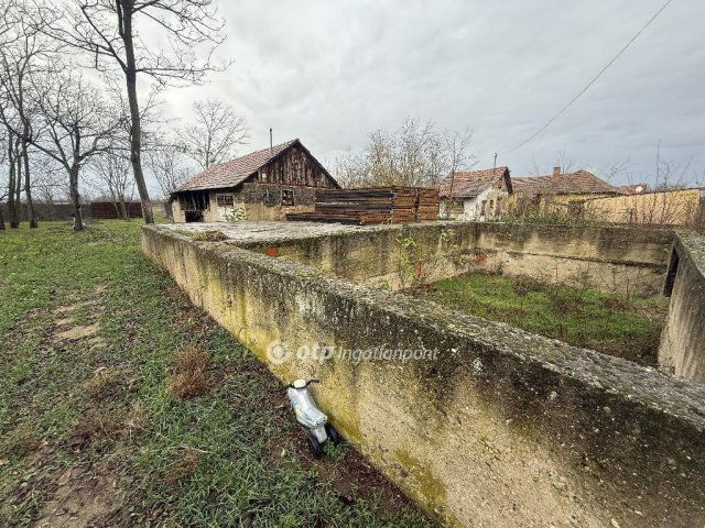 Eladó mezogazdasagi ingatlan, Tiszakécskén 9.9 M Ft, 1 szobás