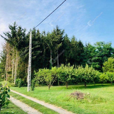 Eladó mezogazdasagi ingatlan, Beleznán 0.55 M Ft