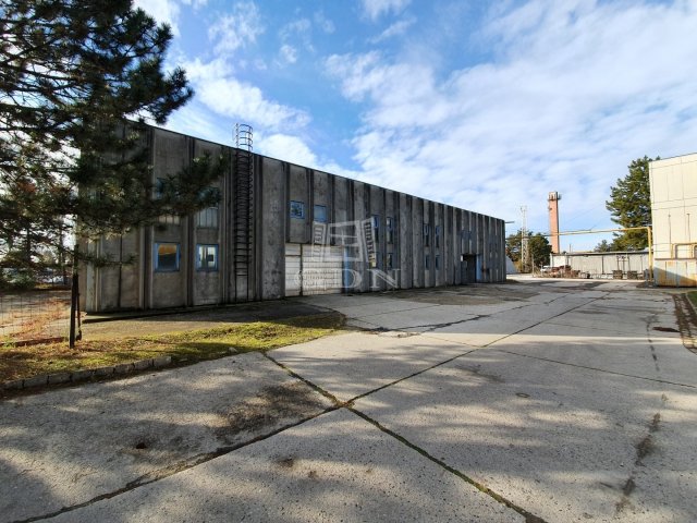 Kiadó ipari ingatlan, Székesfehérvárott 259 E Ft / hó