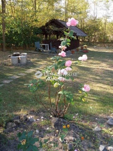 Eladó családi ház, Újlengyelen 195 M Ft, 6 szobás