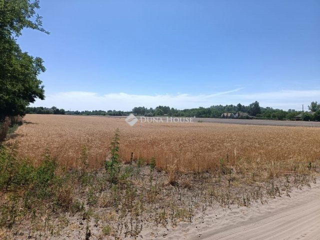 Eladó mezogazdasagi ingatlan, Szegeden 8.5 M Ft