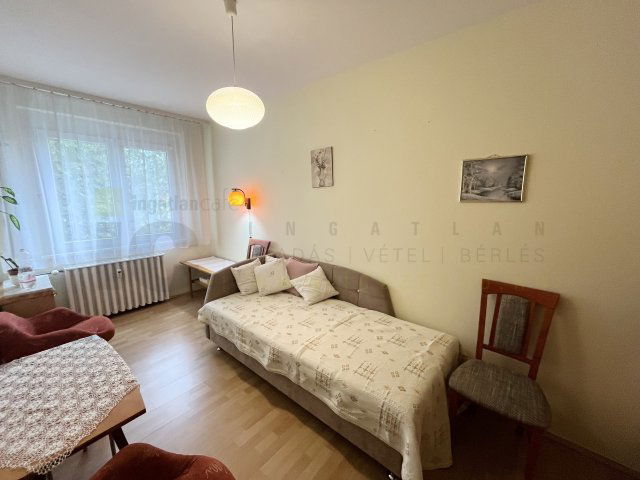 Kiadó panellakás, albérlet, Szegeden, Gyöngyvirág utcában