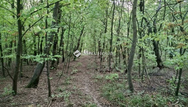 Eladó telek, Alcsútdobozon 25 M Ft / költözzbe.hu