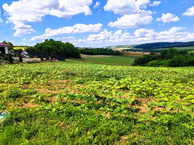 Eladó telek, Bonyhádon 9.99 M Ft / költözzbe.hu