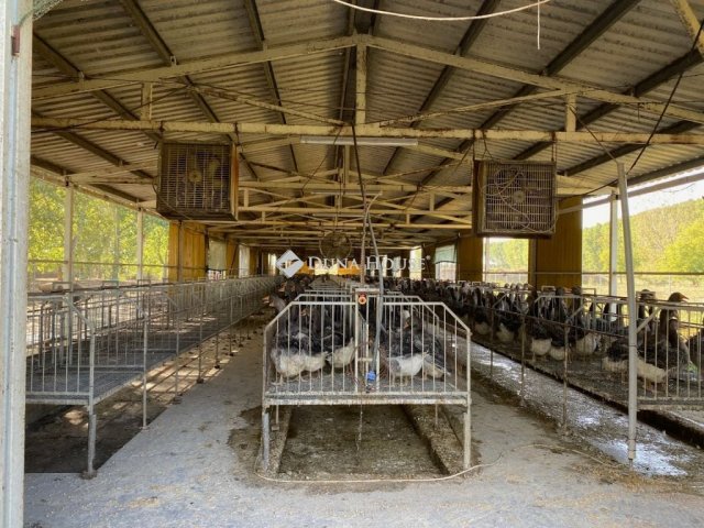 Eladó mezogazdasagi ingatlan, Kecskeméten 140 M Ft