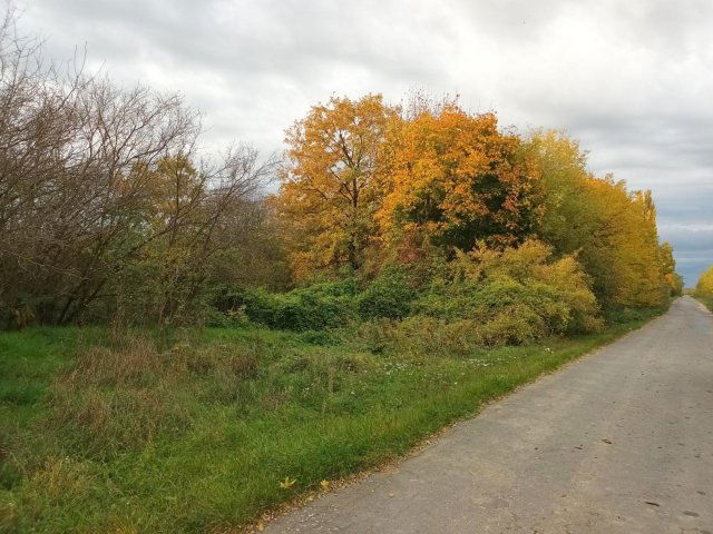 Eladó telek, Türjén 3 M Ft / költözzbe.hu