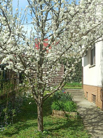 Eladó családi ház, Miskolcon 110 M Ft, 5 szobás