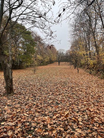 Eladó telek, Budapesten, III. kerületben 500 M Ft