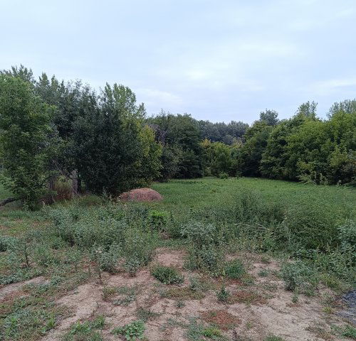 Eladó telek, Tiszadadán, Vízmű utcában 0.95 M Ft