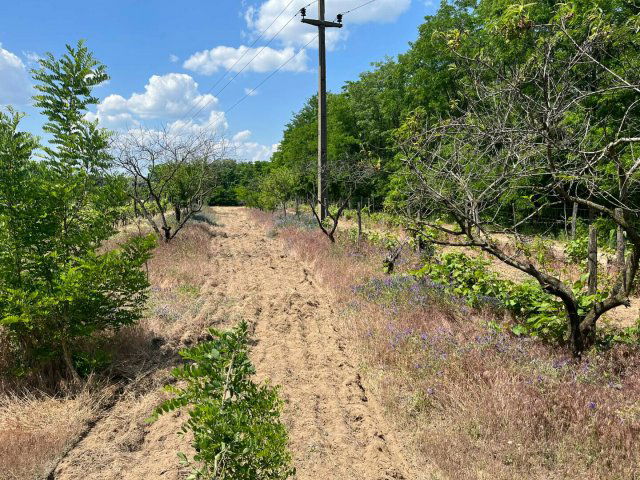 Eladó telek, Kecskeméten 15 M Ft / költözzbe.hu