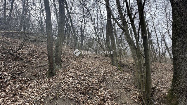 Eladó mezogazdasagi ingatlan, Visegrádon 7.9 M Ft