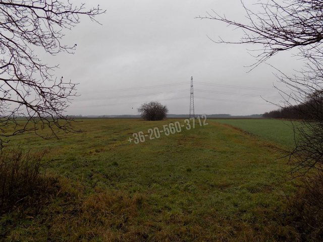 Eladó telek, Magyarkeresztúron 6 M Ft / költözzbe.hu