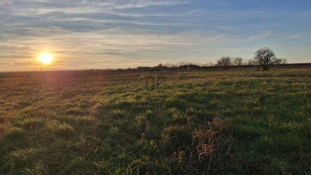 Eladó telek, Pécsudvardon 13.9 M Ft / költözzbe.hu