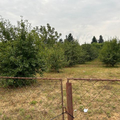 Eladó telek, Ibrányban 5 M Ft / költözzbe.hu