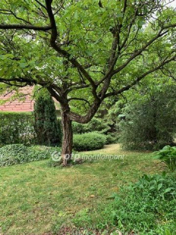 Eladó nyaraló, Solymáron 69.9 M Ft, 1+1 szobás