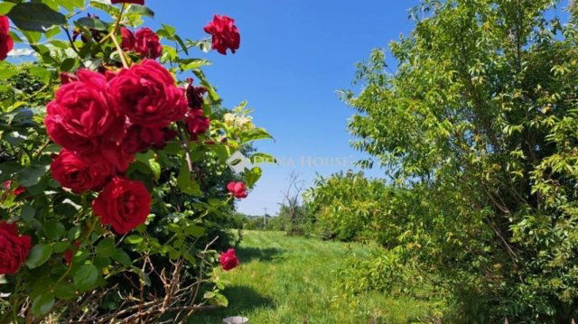 Eladó családi ház, Sümegcsehin 17 M Ft, 2 szobás