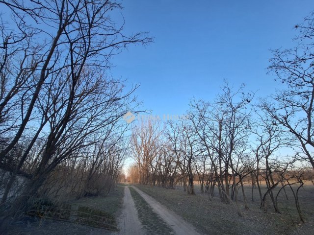 Eladó mezogazdasagi ingatlan, Ballószögön 15 M Ft