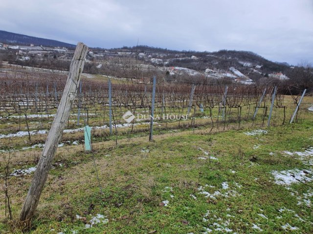 Eladó telek, Vászolyon 237.3 M Ft / költözzbe.hu