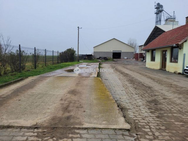 Eladó mezogazdasagi ingatlan, Szőlősgyörökön 450 M Ft