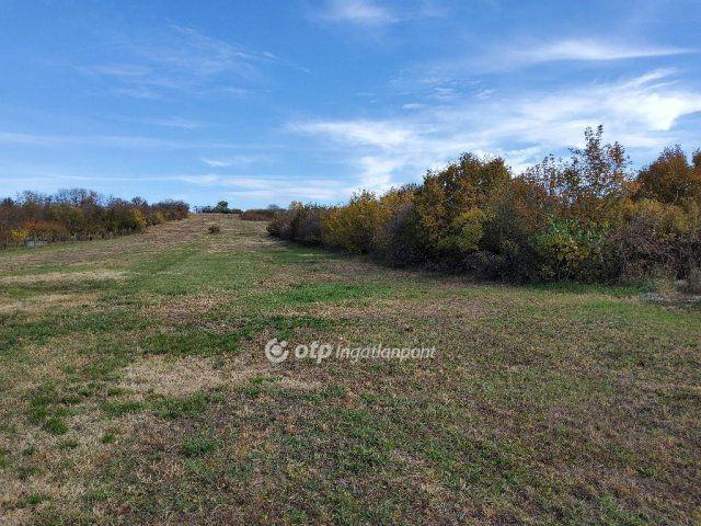 Eladó telek, Hatvanban 16 M Ft / költözzbe.hu
