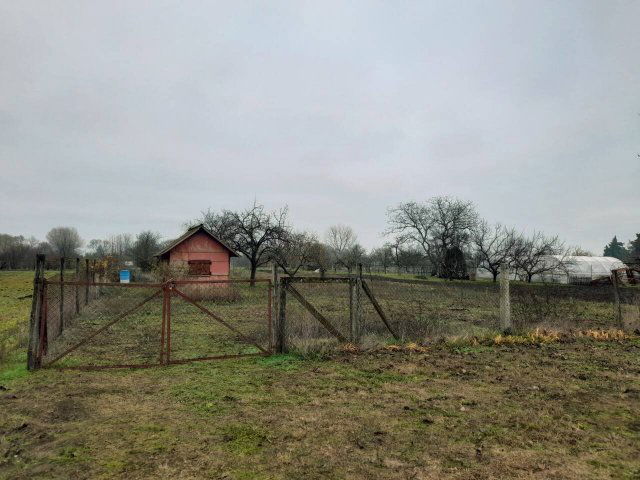 Eladó mezogazdasagi ingatlan, Békéscsabán 4 M Ft