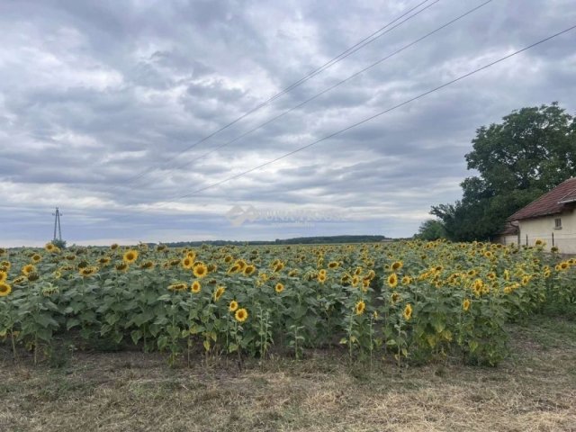 Eladó telek, Tápiógyörgyén 5.9 M Ft / költözzbe.hu
