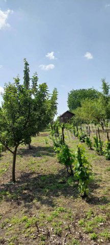 Eladó nyaraló, Kulcson 8.9 M Ft, 1 szobás / költözzbe.hu